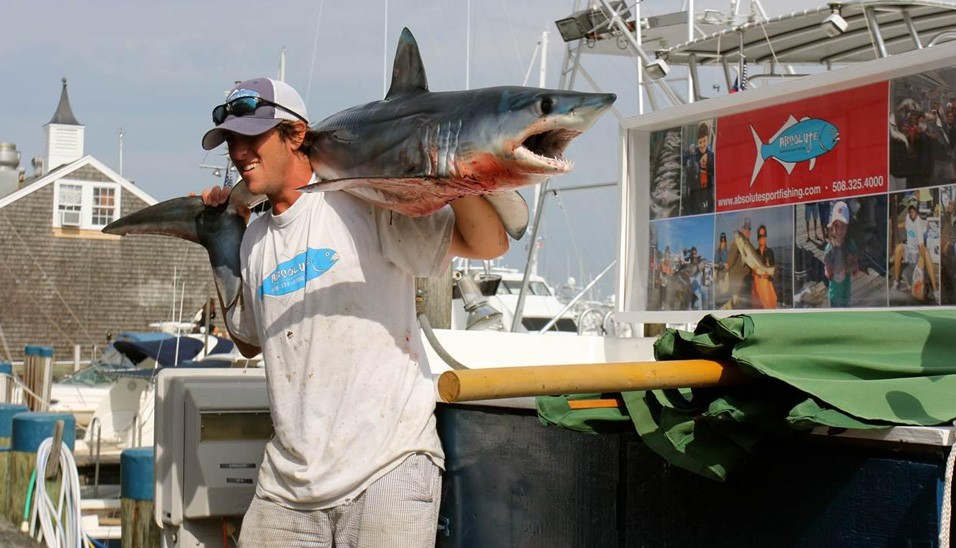 Trips – Althea K Sportfishing Nantucket Charters